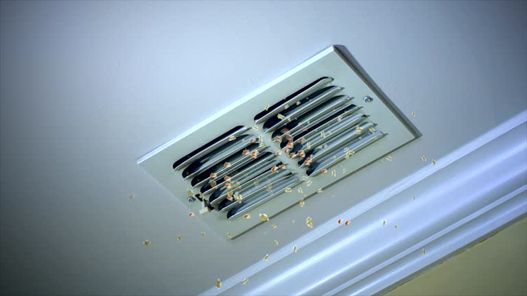 Best Residential Air Duct Cleaning  in West Livingston, TX