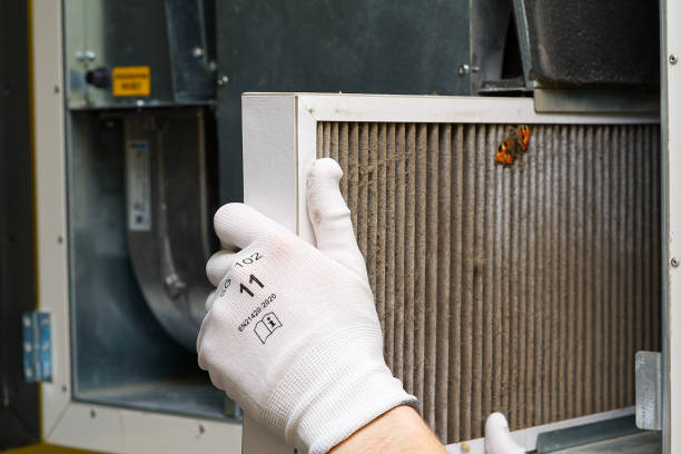 Best Air Duct Cleaning Near Me  in West Livingston, TX