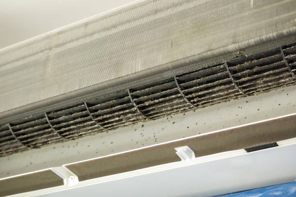 Best Residential Air Duct Cleaning  in West Livingston, TX