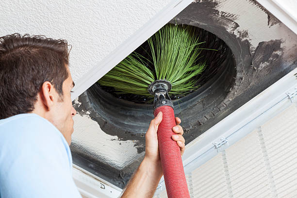 Best HVAC Air Duct Cleaning  in West Livingston, TX